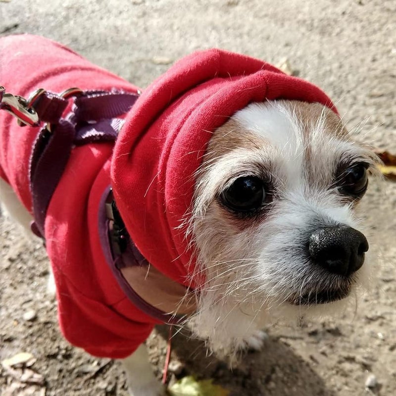 BINGPET Security Dog Hoodies Puppy Sweater Cold Weather Dog Coats Soft Brushed Fleece Pet Clothes Hooded Sweatshirt for Dog Cat - Image 4